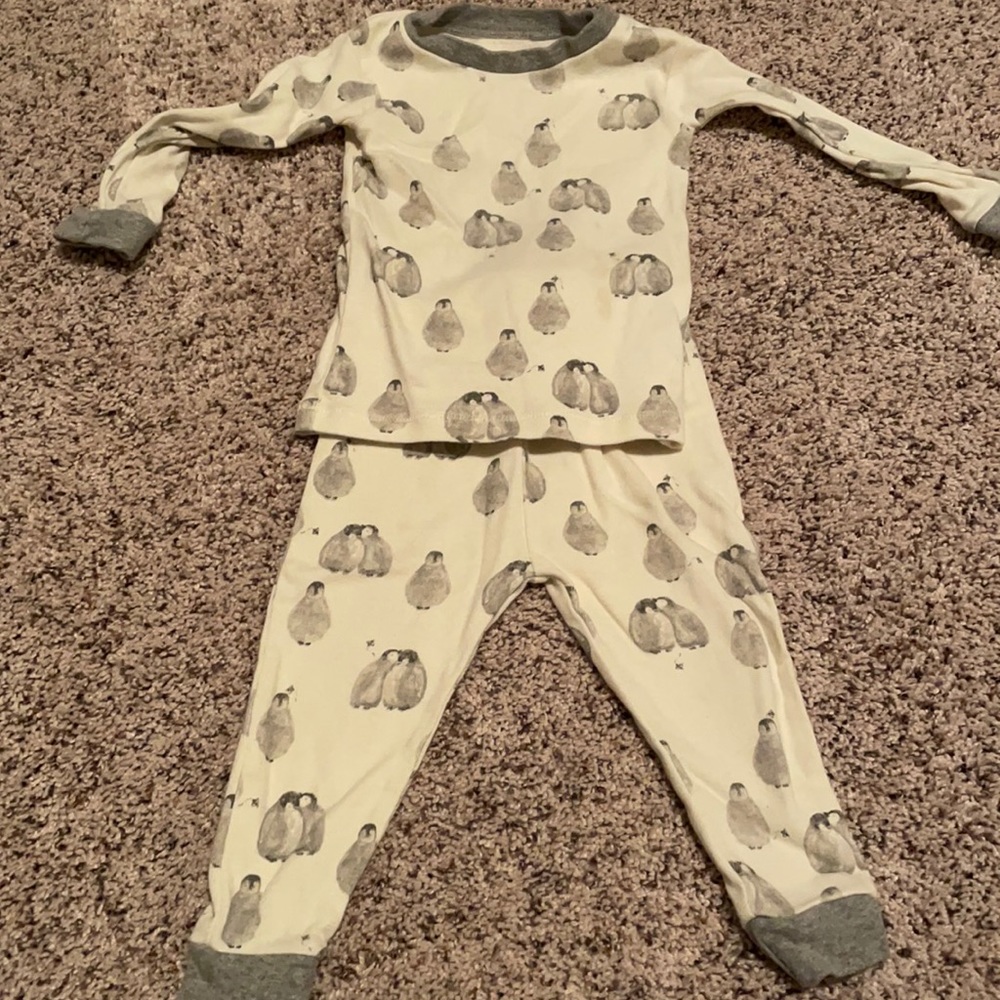 Burt Bees 12M Two Piece Pajamas